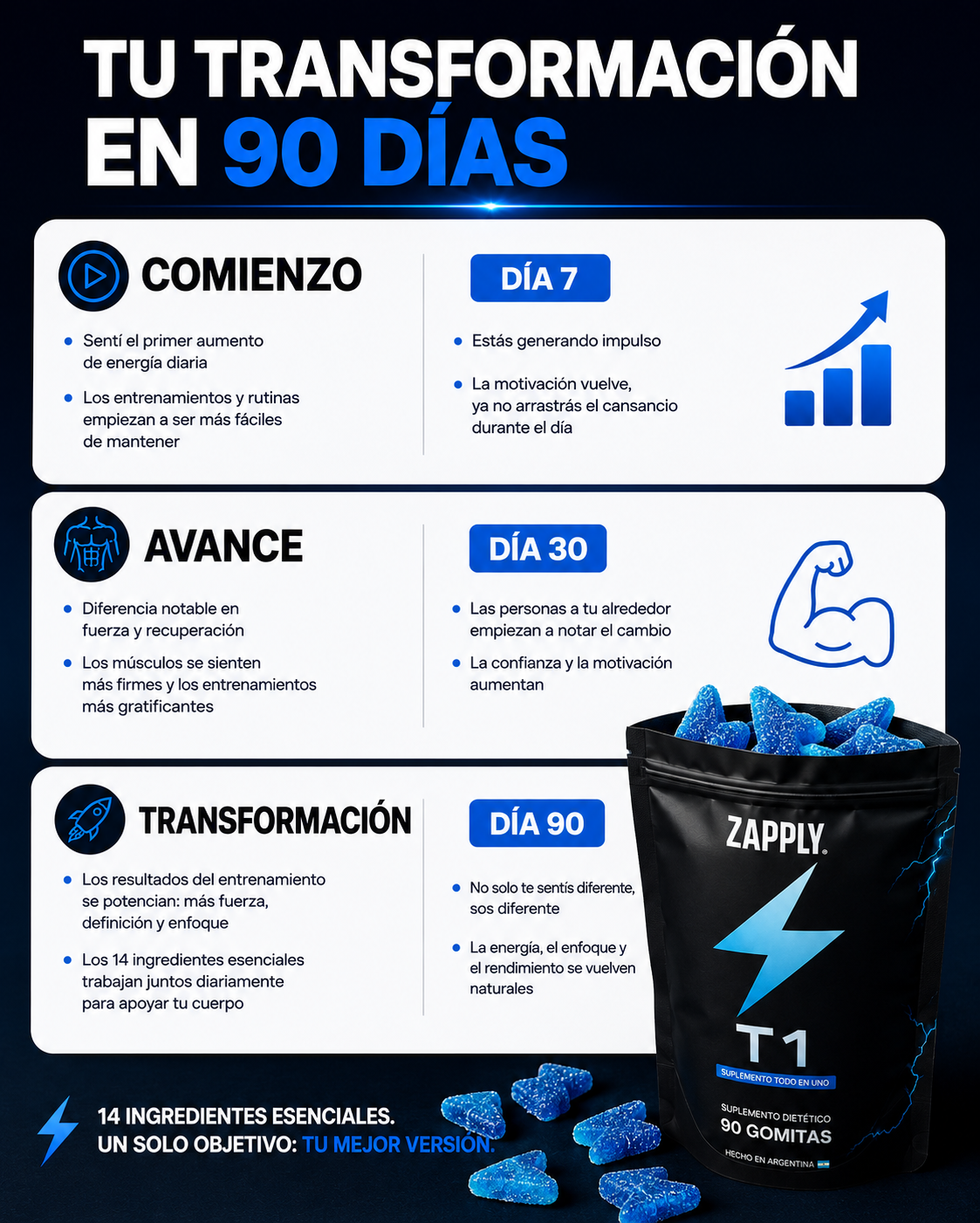 Zapply T1 (Carga de Testo)
