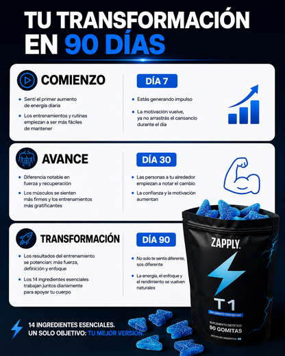 Zapply T1 (Carga de Testo)